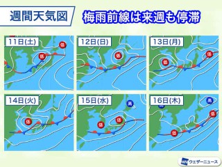 中野区 天気