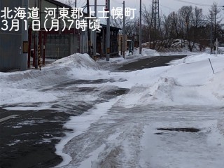 盛岡 今日 の 天気
