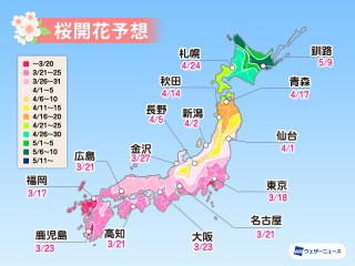 ティッシュを一緒に洗濯してしまったときの対処法 ウェザーニュース