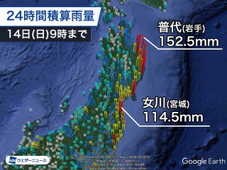 テニスボールでふわふわに ダウンを洗濯する方法 ウェザーニュース