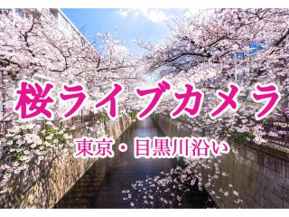 清少納言 枕草子 で見るユニークな視点 ウェザーニュース