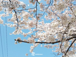 初桜 徒桜 桜花爛漫 さくらの日 に触れたい 桜の言葉 ウェザーニュース