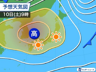 ダンボールはゴキブリなどの害虫に注意 ウェザーニュース