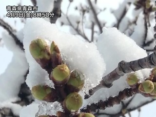 西日本 東日本も霜が降りる寒さ 明日は全国的に冷え込み強まる ウェザーニュース