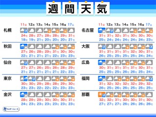 一番当たる 広島県広島市南区の最新天気 1時間 今日明日 週間 ウェザーニュース
