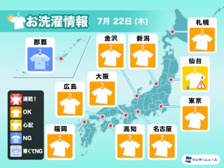 嫌われがちだが実は益虫 大量発生するヤスデの対処法 ウェザーニュース