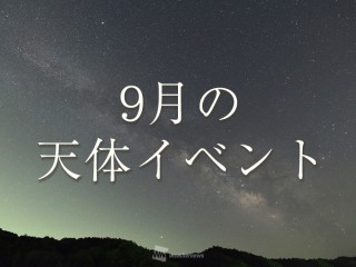 地面にひっくり返ったセミ セミ爆弾 の見分け方 ウェザーニュース