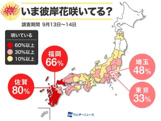 皮ごと手軽に食べられる 梨スティックの作り方とは ウェザーニュース