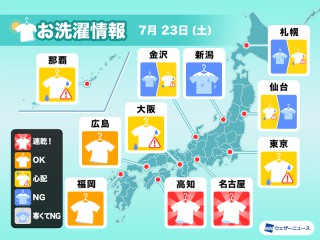 ヤスデは益虫 害虫 大量発生の理由と対策とは ウェザーニュース