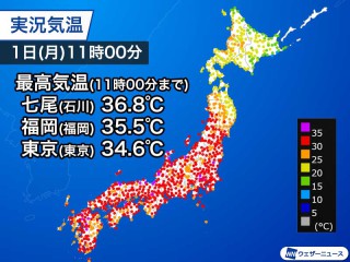 一番当たる 千葉県船橋市高根町の最新天気 1時間 今日明日 週間 ウェザーニュース