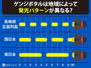 ゲンジボタルの発光パターンは西日本と東日本で違う？