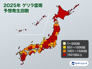box_image