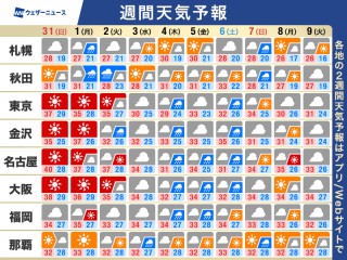 今年のゲリラ雷雨 総発生回数は約8.7万回、ピークは8月中旬