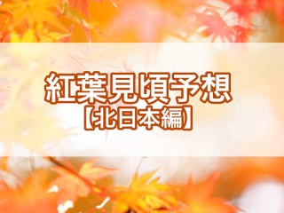 紅葉見頃予想2025【北日本編】