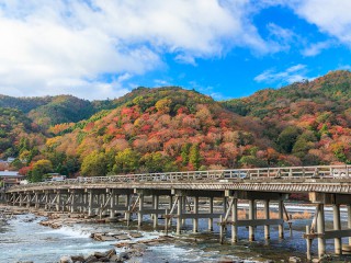 世界初の研究成果、地球温暖化は紅葉の「時期」だけでなく「色づき」にも影響!?