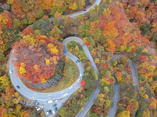 紅葉狩りドライブは油断禁物 慣れない山道を安全運転する4つのコツ