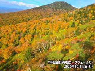 吉野山(中千本)の紅葉情報【2025】 - ウェザーニュース