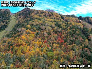 関東北部の山沿いで紅葉が見頃に　今週は秋深まるも週末は広く雨予想