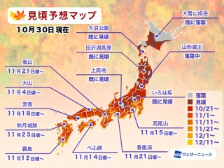 紅葉見頃予想2025　東北から九州で平年並〜やや遅い　高尾山は11月中旬には見頃へ