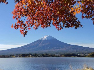 紅葉と富士山の共演も　週末に行きたいおすすめスポットを紹介