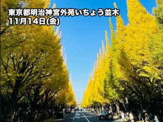 関東は銀杏並木が映える青空も　夜は雨の可能性あり