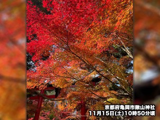 各地で穏やかな紅葉狩り日和　木々の彩りが青空に映える