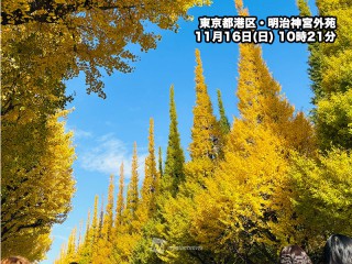 今日も紅葉が映える青空　日差し暖かな行楽日和が続く