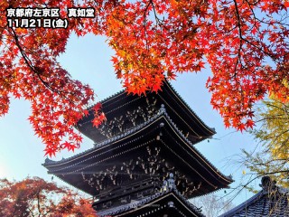 近畿で紅葉が見頃に　古都を彩る木々の彩り