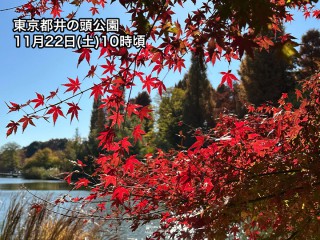三連休初日は関東から西で晴天　紅葉が青空に映える