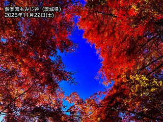 関東で紅葉が見頃　夜はライトアップで幻想的に