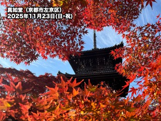 古都・京都に錦秋が到来　三連休が紅葉の見頃ピーク