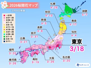 桜開花予想2026　開花スタートは東京で3月18日　春の陽気で生長が早まる