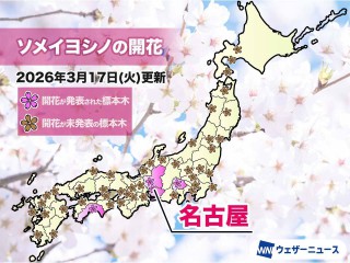 名古屋でソメイヨシノが開花　過去最も早い記録に並ぶ