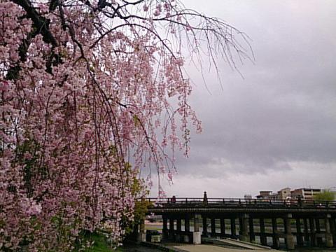 冷たい雨の降る京都...