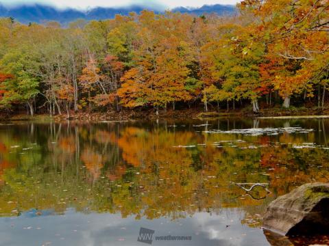 知床五湖の紅葉情報 22 ウェザーニュース