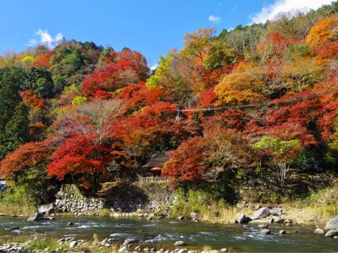 鳳来寺山の紅葉情報 22 ウェザーニュース