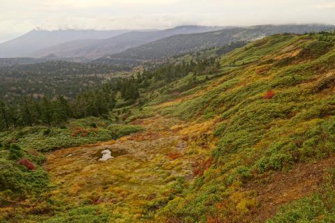標高1600m近い...