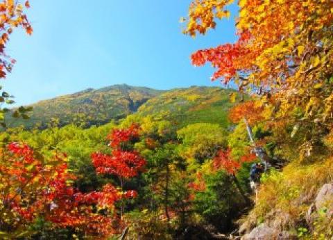 鳳来寺山の紅葉情報 22 ウェザーニュース