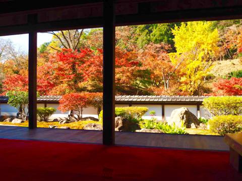 正暦寺の紅葉情報【2023】 - ウェザーニュース