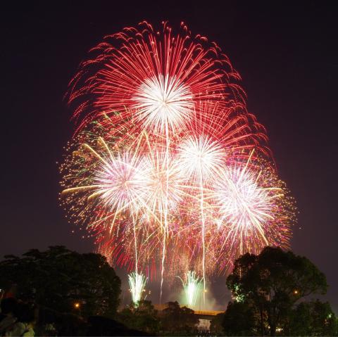 厳選 花火絶景写真 注目の空の写真 ウェザーニュース