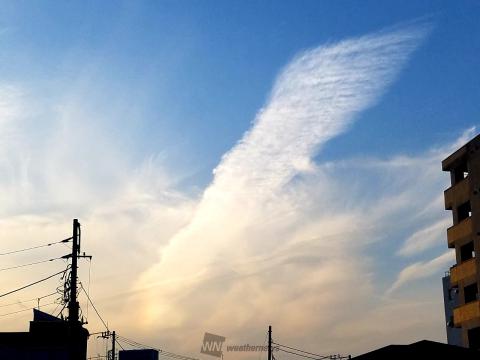 虹色をまとった羽…関東で幻日ラッシュ 注目の空の写真 ウェザーニュース