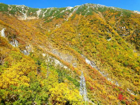 駒ヶ岳ロープウェイの紅葉情報 22 ウェザーニュース