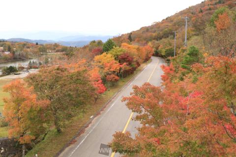 鳳来寺山の紅葉情報 22 ウェザーニュース