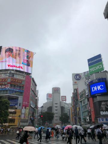 おはようございます...
