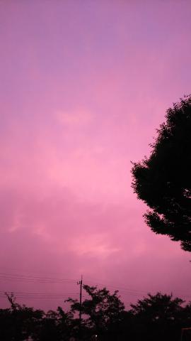 ピンクや紫に染まる朝 注目の空の写真 ウェザーニュース
