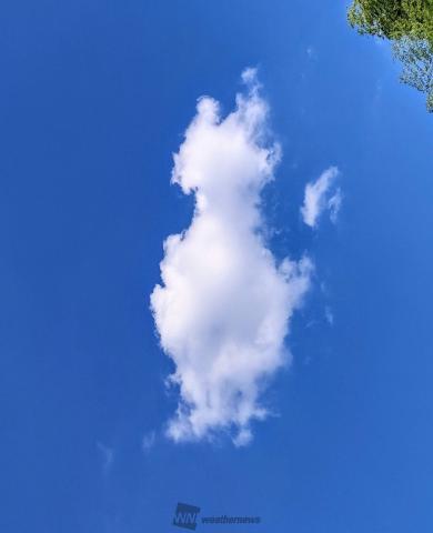雲画廊 何に見える 注目の空の写真 ウェザーニュース