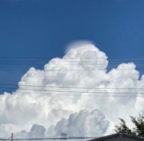 傑作選＞不思議な雲シリーズ 注目の空の写真 ウェザーニュース