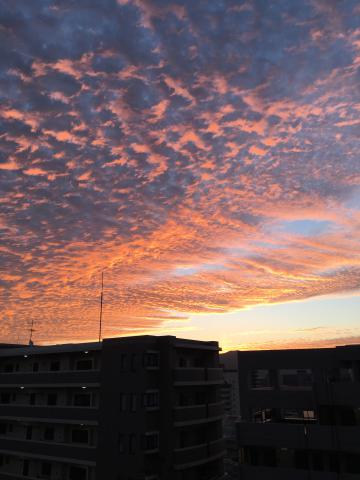 美しい秋の朝空 注目の空の写真 ウェザーニュース