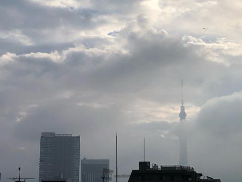 スカイツリーと雲 注目の空の写真 ウェザーニュース