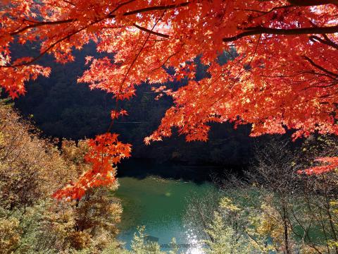 もみじ湖 みのわダム の紅葉情報 22 ウェザーニュース